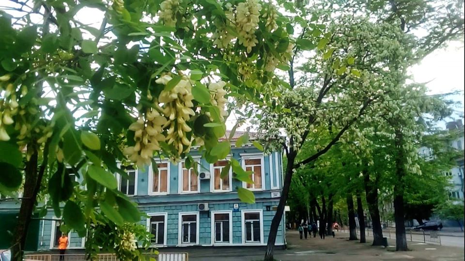 Обкладинка практикуму